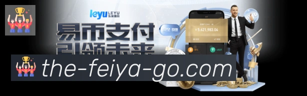 未来规划